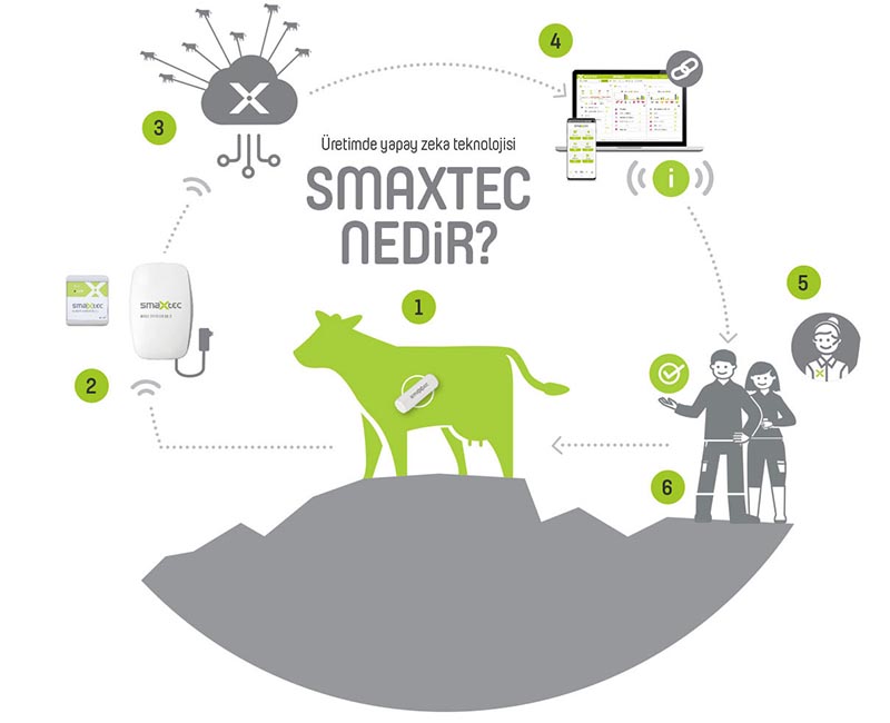 Smaxtec